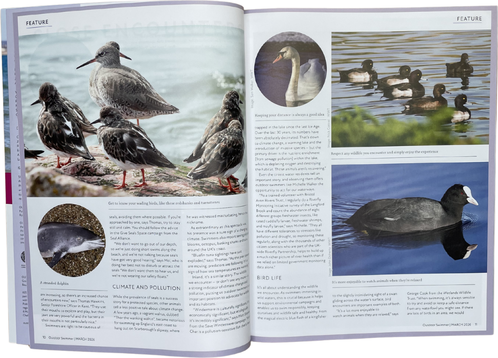 Outdoor Swimmer Issue 104