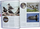 Outdoor Swimmer Issue 104