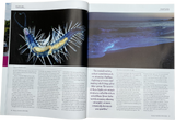 Outdoor Swimmer Issue 106