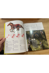 Pitch Issue 3