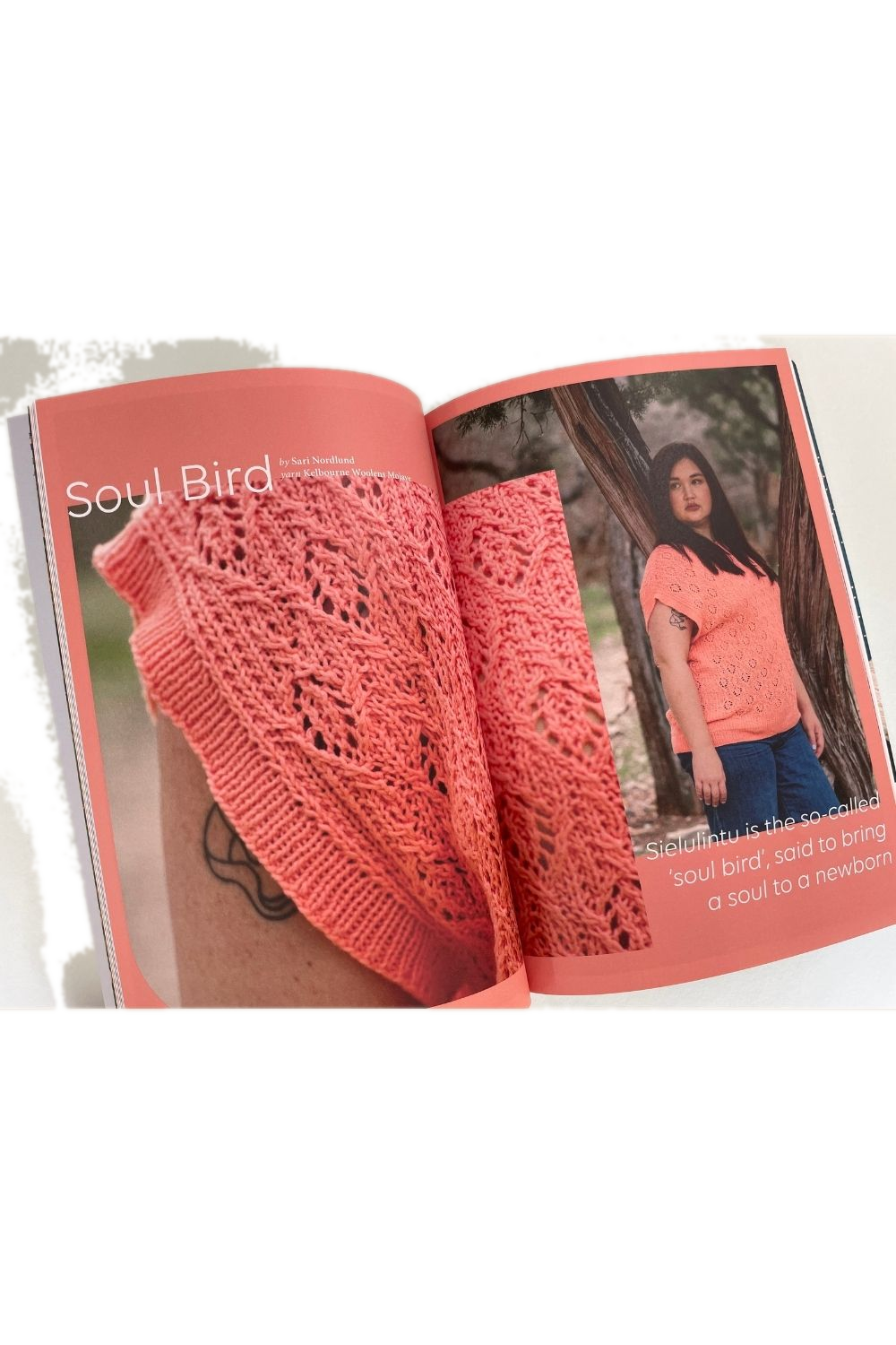 Pompom Issue 37