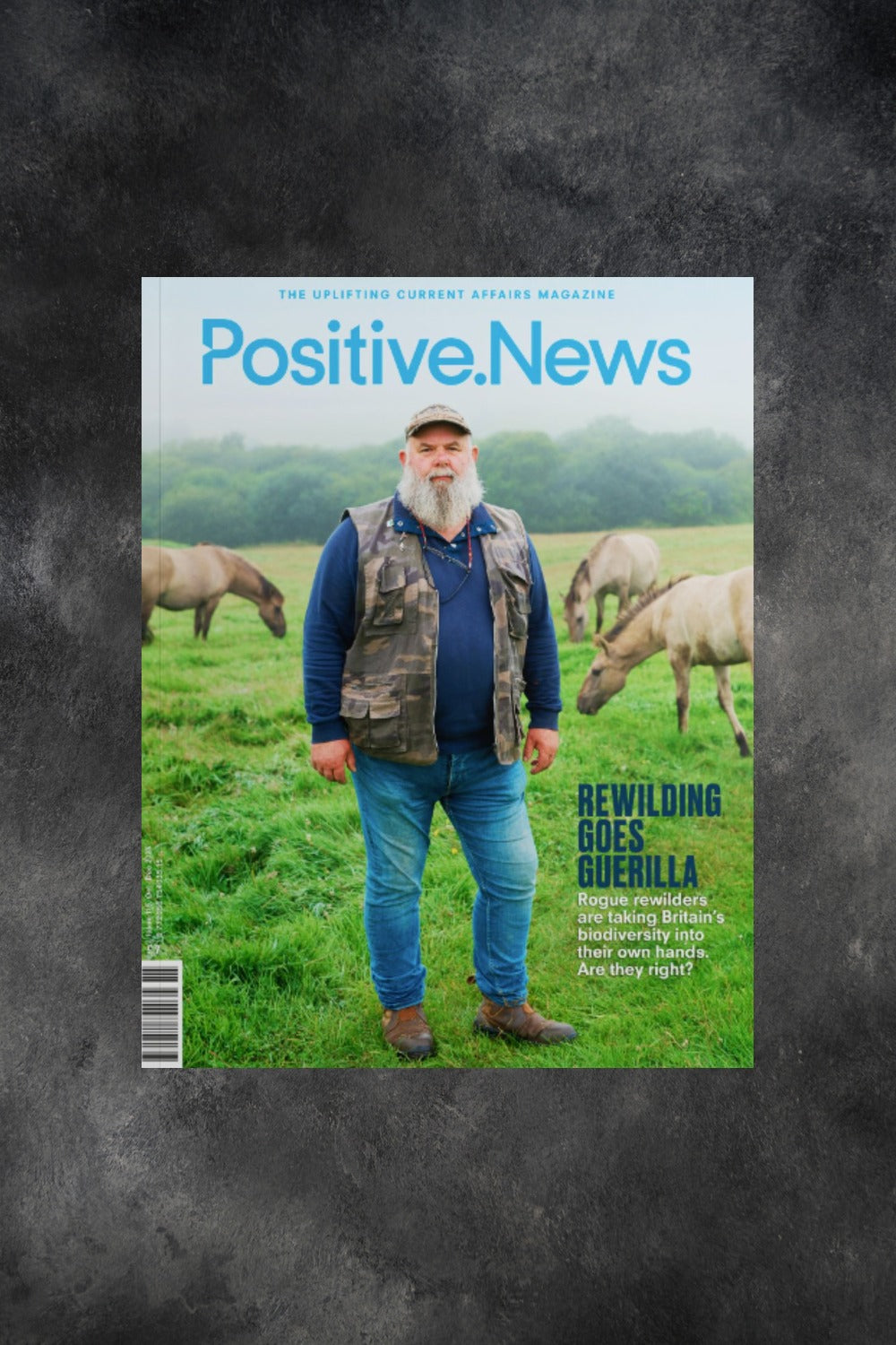 Positive News Magazine Issue 115 cover