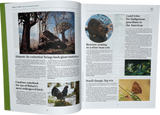 Positive News #125