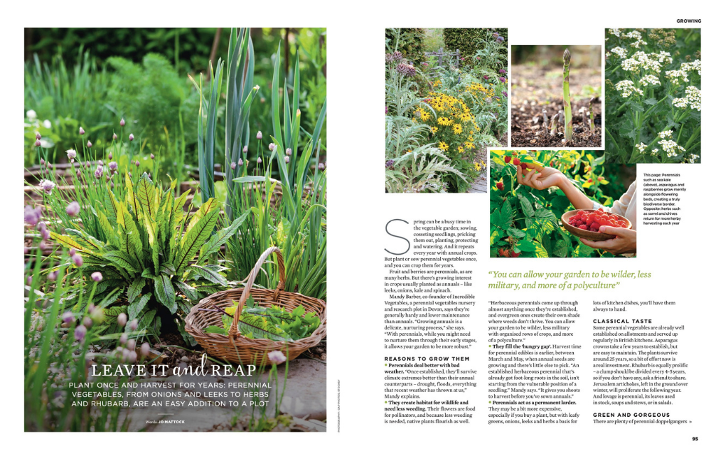 The Simple Things Issue 167 May