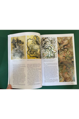 Raw Vision 116