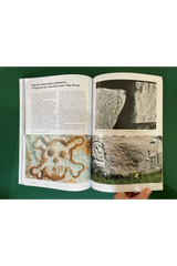 Raw Vision 116
