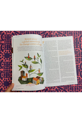 Resurgence & Ecologist Issue 338