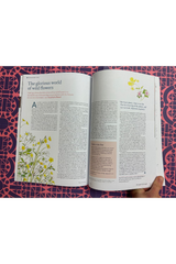Resurgence & Ecologist Issue 338