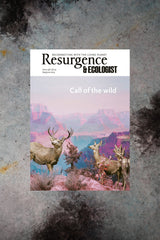 Resurgence & Ecologist Issue 338