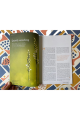 Resurgence & Ecologist Issue 339