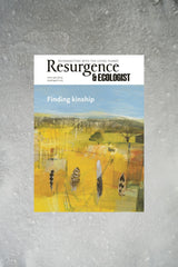 Resurgence & Ecologist Magazine Issue 339 cover