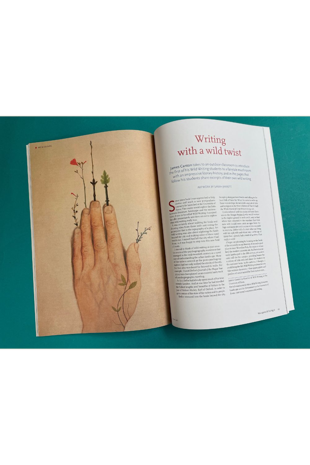 Resurgence & Ecologist Issue 340