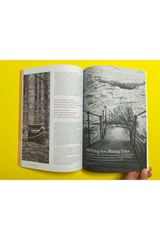 Resurgence & Ecologist Issue 345