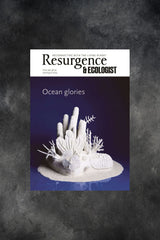 Resurgence & Ecologist Magazine Issue 345 cover