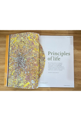 Resurgence & Ecologist Issue 346