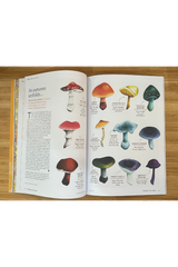 Resurgence & Ecologist Issue 346