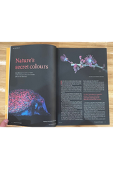 Resurgence & Ecologist Issue 346