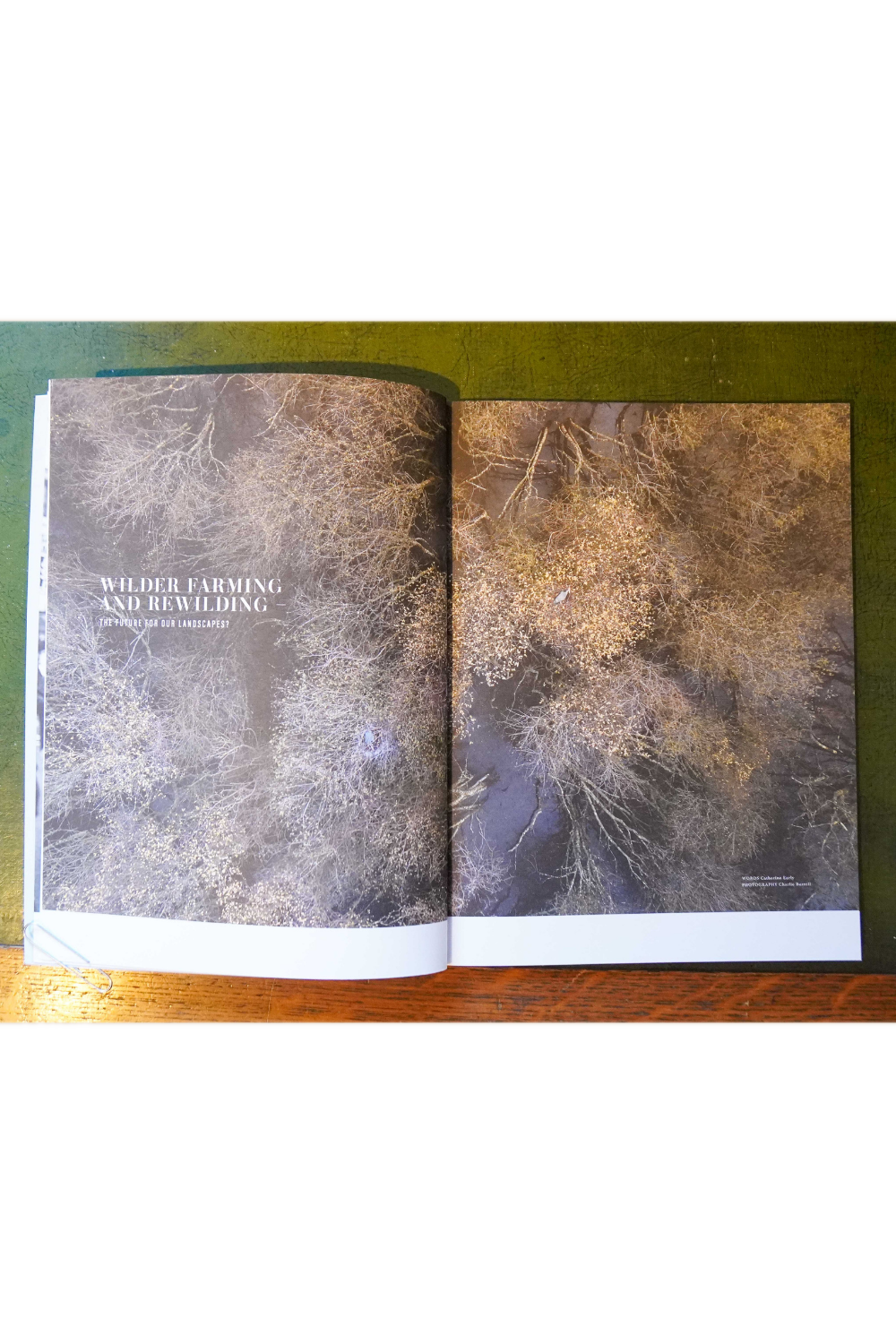 Seed Magazine - Issue 3 - Autumn Winter 2020