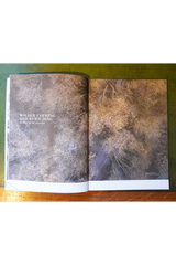 Seed Magazine - Issue 3 - Autumn Winter 2020