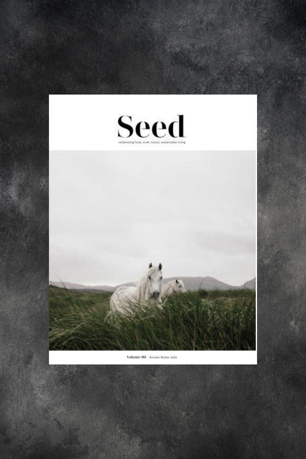 Seed Magazine Issue 3