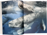 Sirene Issue 22