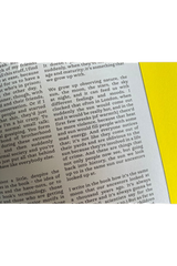 Excerpt from Gabriel Krauze interview in Soft Punk Issue 4