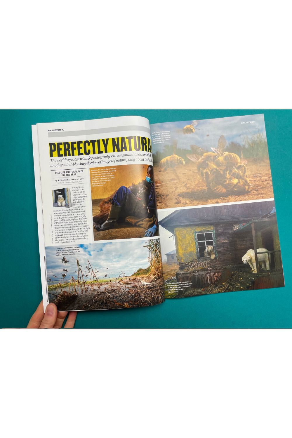 Strong Words Issue 43