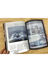Suitcase Vol. 39: Ritual