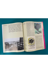 Tate Etc. Issue 55