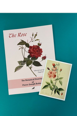 The Botanical Drawings of Pierre-Joseph Redouté