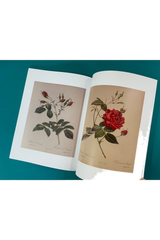 The Botanical Drawings of Pierre-Joseph Redouté