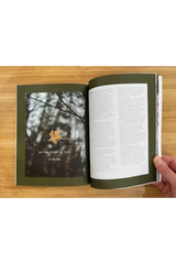 The Heretic: Foundations 2020-2022