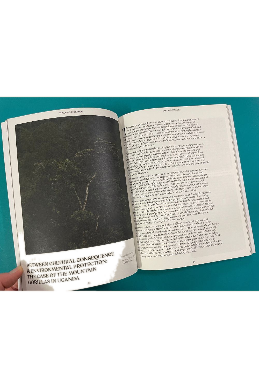 The Jungle Journal Vol. 2