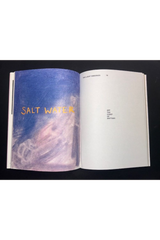 The Light Observer Issue 2