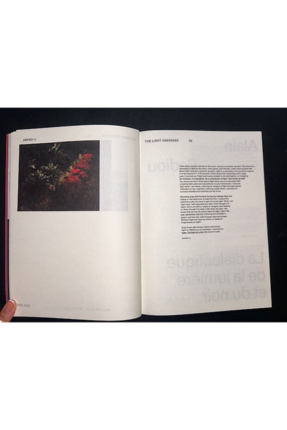 The Light Observer Issue 2