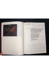 The Light Observer Issue 2