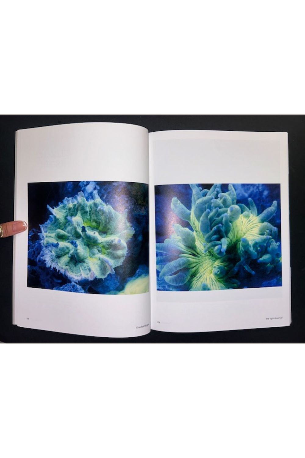 The Light Observer Issue 3