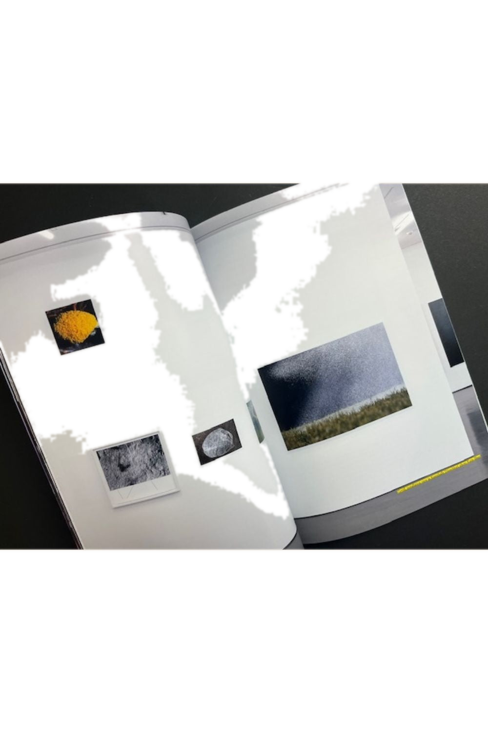 The Light Observer Issue 8