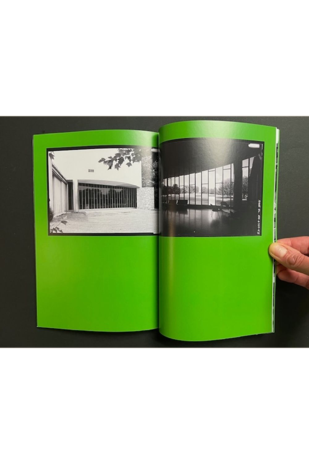 The Light Observer Issue 8