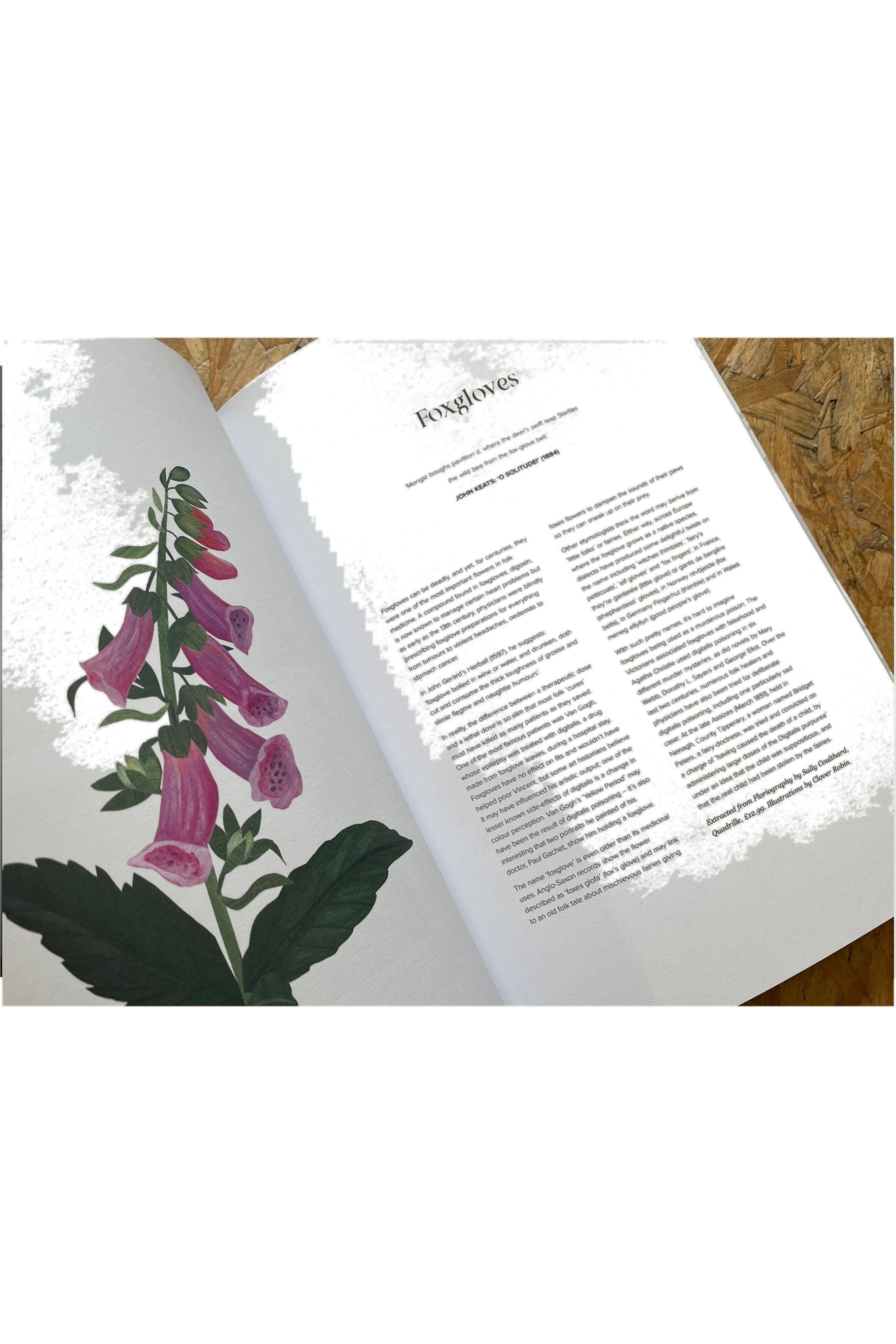 Maverick Guide Issue 01 available to buy at Pics & Ink