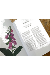 Maverick Guide Issue 01 available to buy at Pics & Ink