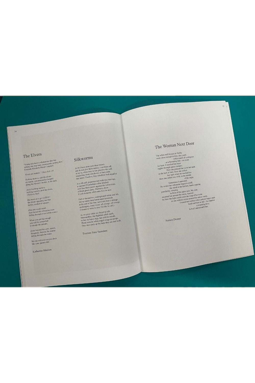 The Moth Issue 48