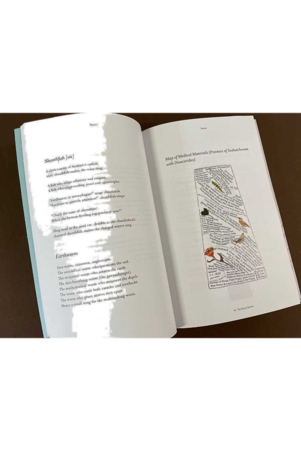 The Poetry Review Vol 111, No 3, Autumn 2021