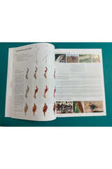 The Pottering Artist Issue 10