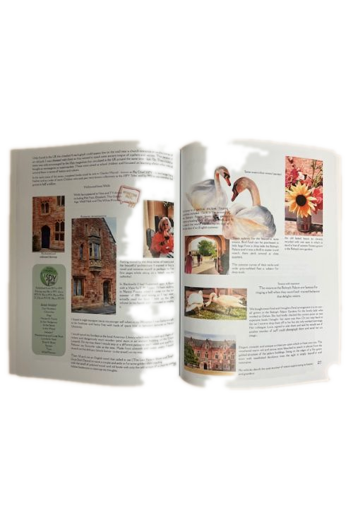 The Pottering Artist Issue 11