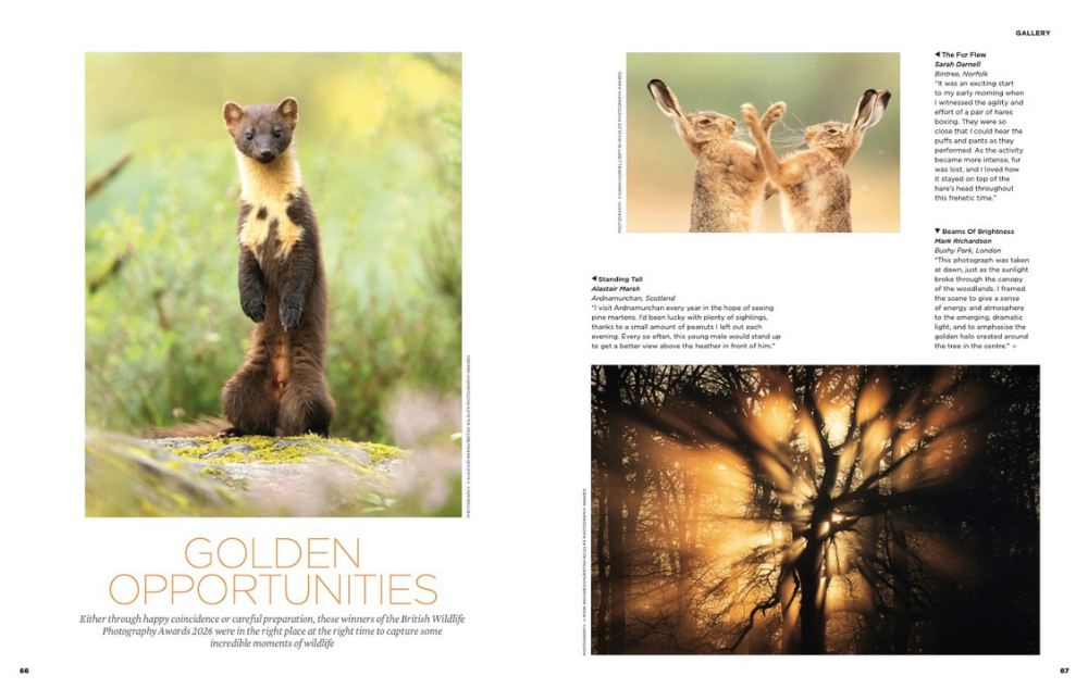 The Simple Things Issue 171 September