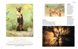 The Simple Things Issue 171 September