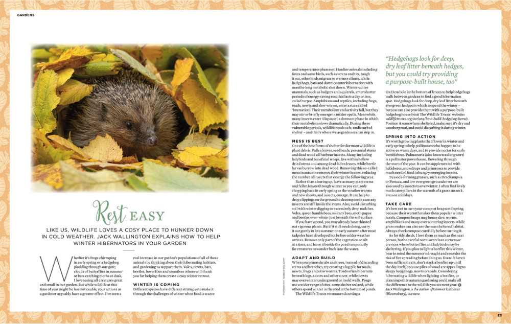 The Simple Things Issue 172 October