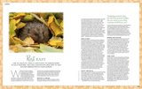 The Simple Things Issue 172 October