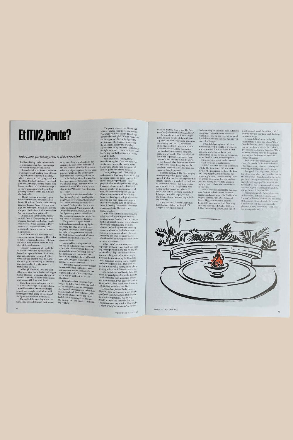 The Fence Issue 25